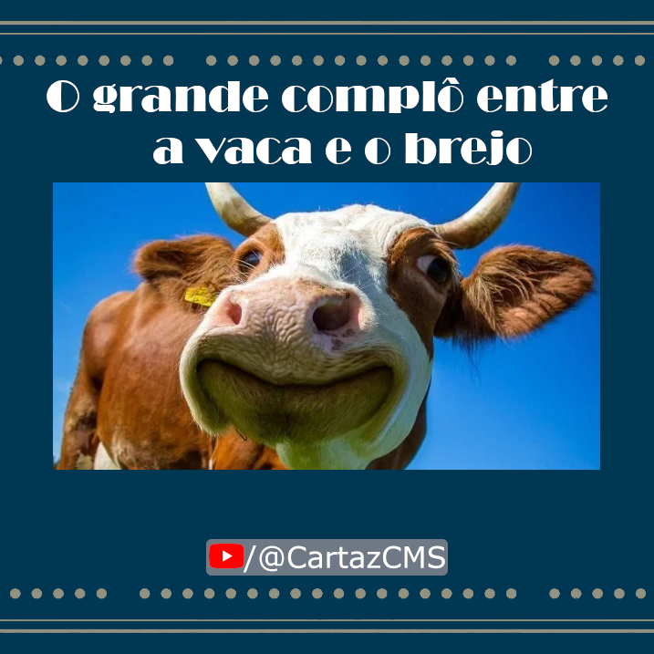 O grande complô entre a vaca e o brejo