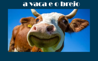 O grande complô entre a vaca e o brejo